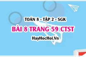 Bài 8 trang 59 Toán 8 Tập 2 Chân trời sáng tạo